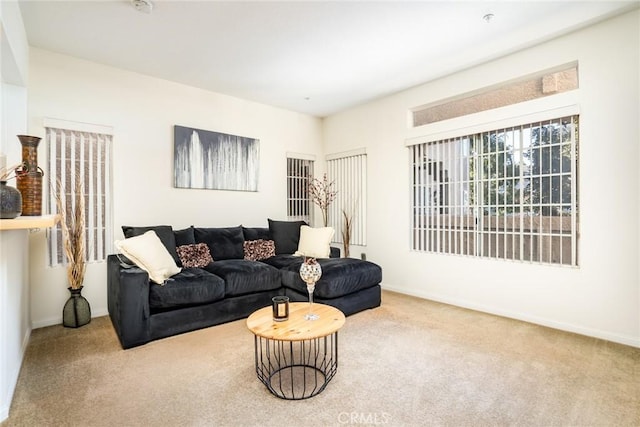 view of carpeted living room