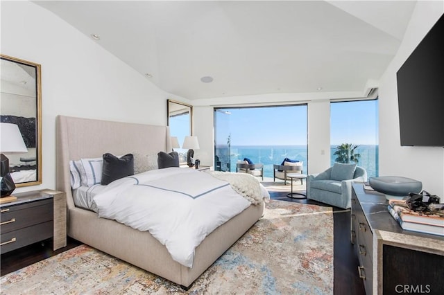 bedroom featuring expansive windows and vaulted ceiling