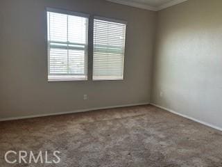 unfurnished room featuring carpet floors and ornamental molding