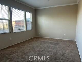 carpeted spare room with ornamental molding