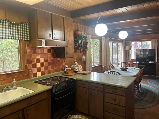 2273 Rawhide Dr, Arnold, CA 95223 - photo 9