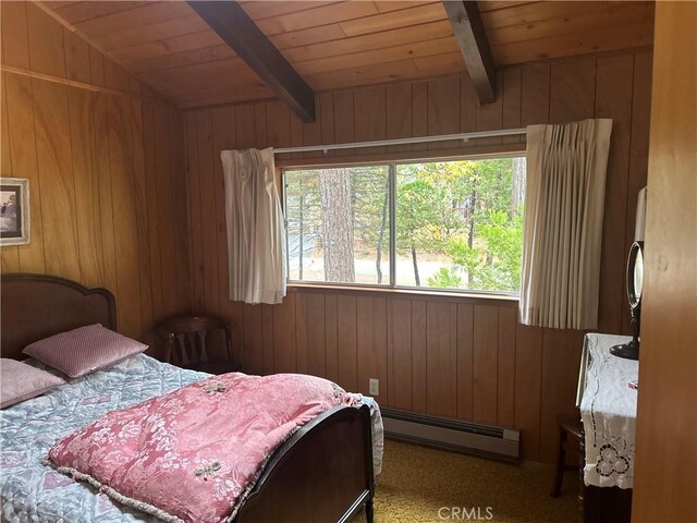 2273 Rawhide Dr, Arnold, CA 95223 - photo 23