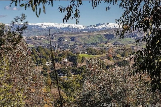 view of mountain feature