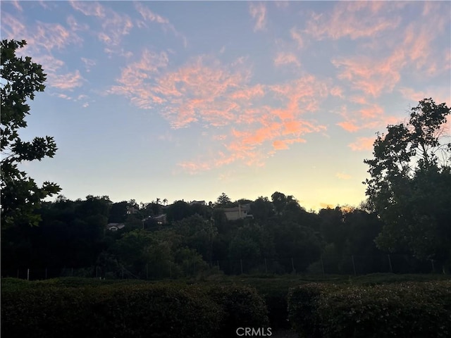 view of nature at dusk