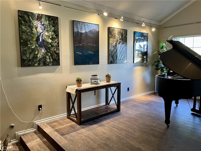 miscellaneous room featuring crown molding, lofted ceiling, and hardwood / wood-style floors