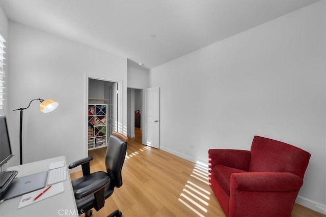 office featuring wood-type flooring