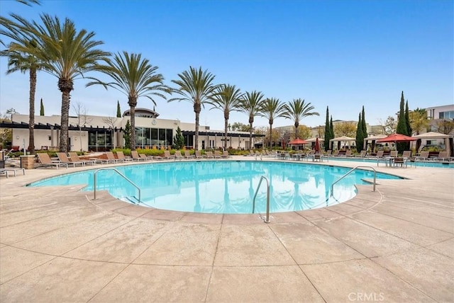 view of swimming pool featuring a patio