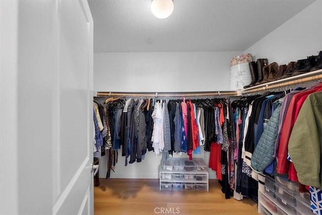 spacious closet with hardwood / wood-style floors