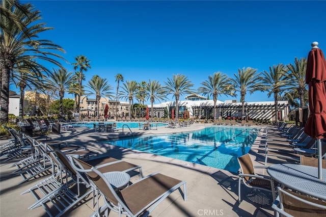 view of pool with a patio area