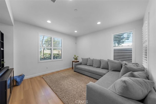 living room featuring a wealth of natural light and wood-type flooring