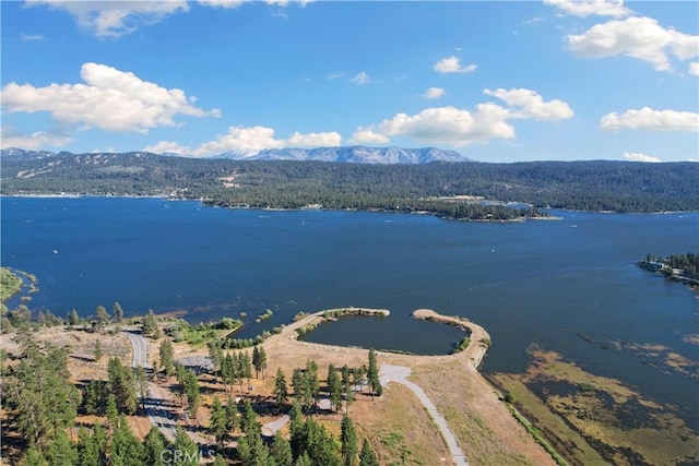 drone / aerial view featuring a water and mountain view