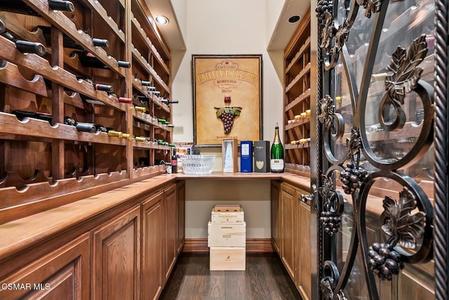 wine room featuring dark hardwood / wood-style flooring