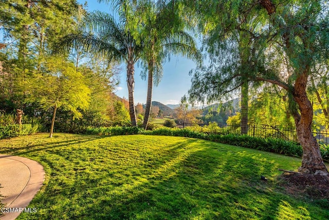 view of yard with a mountain view