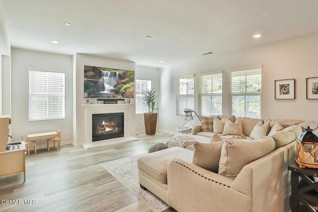 living room featuring light hardwood / wood-style flooring