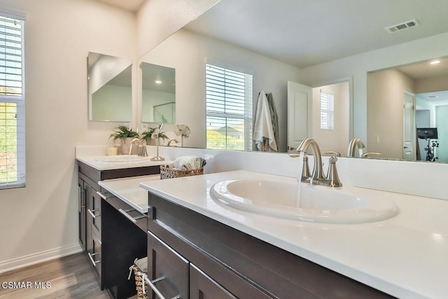 bathroom with wood-type flooring and vanity