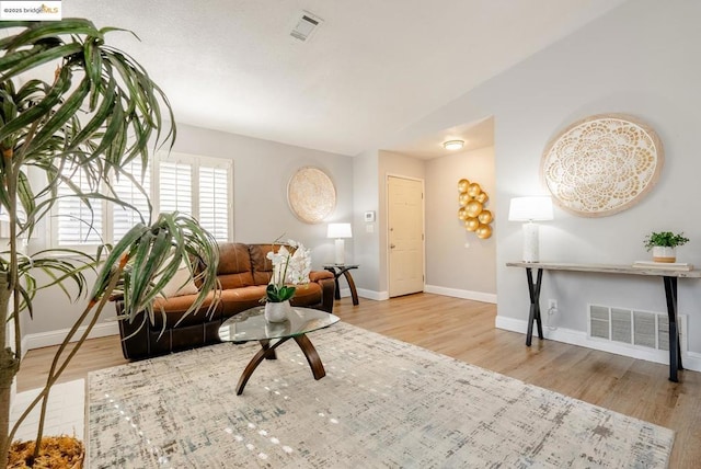 living room featuring light hardwood / wood-style flooring