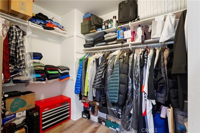 spacious closet with hardwood / wood-style floors