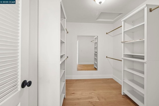 walk in closet featuring light hardwood / wood-style flooring