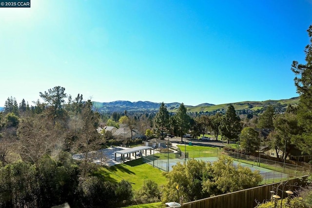 view of home's community featuring a mountain view and a yard