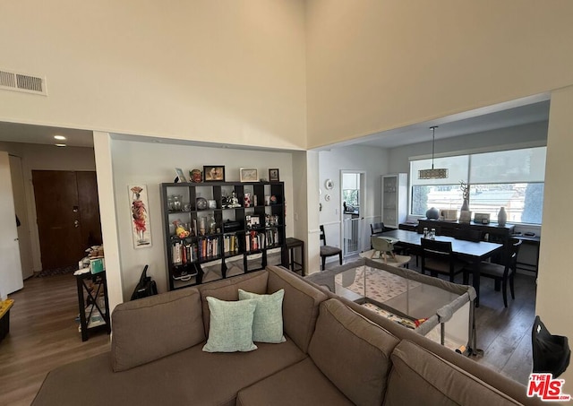 living room with a high ceiling and hardwood / wood-style flooring