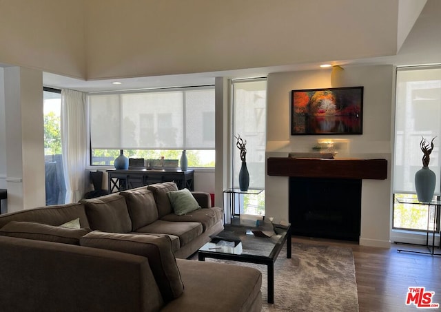 living room with wood-type flooring