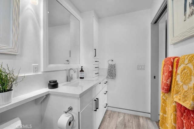 bathroom with wood-type flooring and vanity