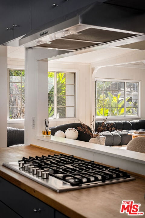 room details featuring stainless steel gas stovetop