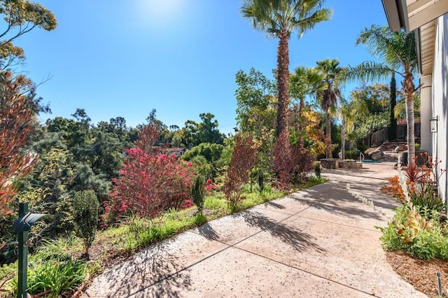 view of yard with a patio area