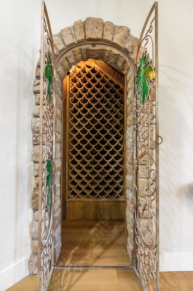 wine room with wood-type flooring