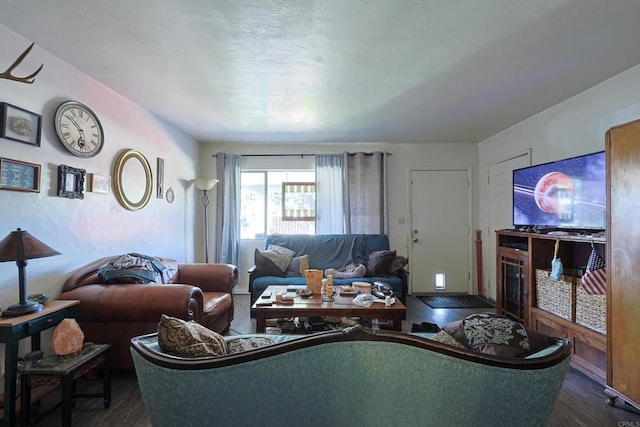 living room with dark hardwood / wood-style floors