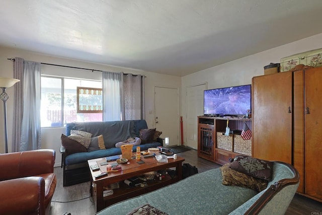 living room with dark hardwood / wood-style flooring