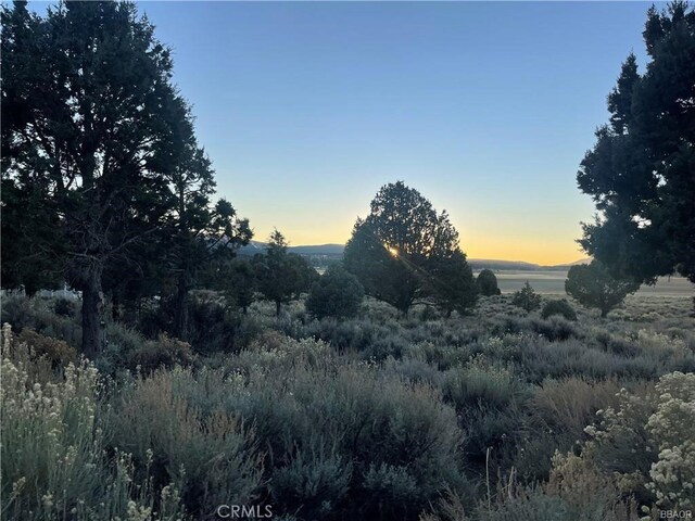 0 Baldwin, Big Bear City, CA 92314 - photo 5