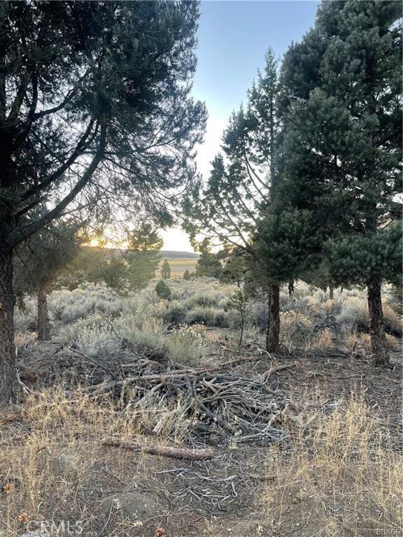 0 Baldwin, Big Bear City, CA 92314 - photo 2