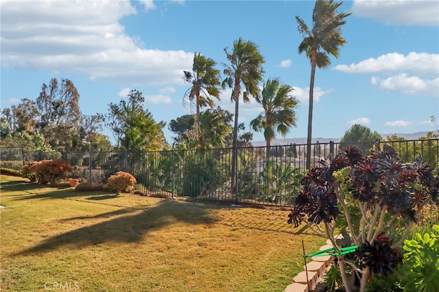 2106 Latham St, Simi Valley, CA 93065 - view of yard