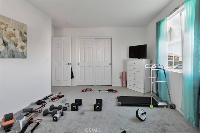 workout room featuring carpet flooring