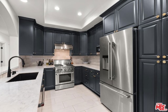 kitchen with tasteful backsplash, high end appliances, sink, a raised ceiling, and light stone counters