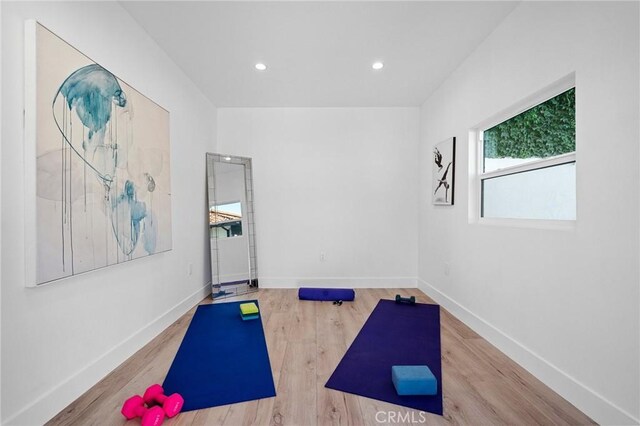 exercise room featuring wood-type flooring