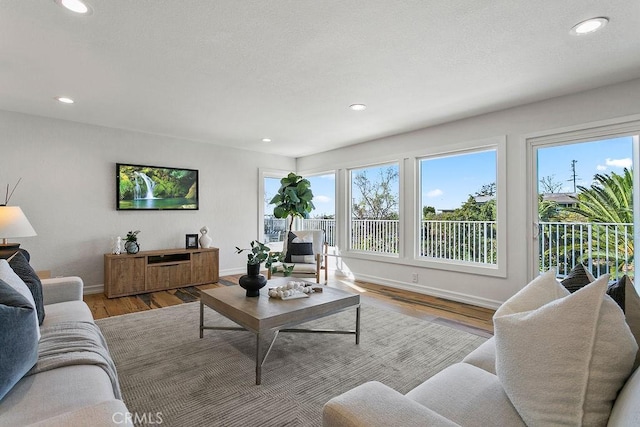 living room with light hardwood / wood-style flooring