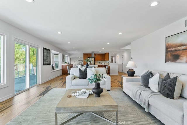 living room featuring light hardwood / wood-style floors