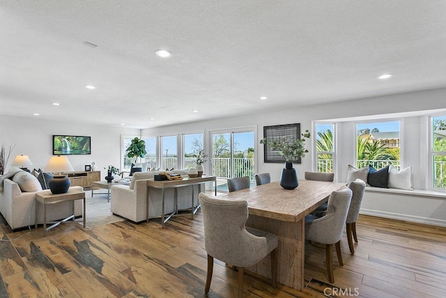 dining space with hardwood / wood-style flooring, a textured ceiling, and a healthy amount of sunlight