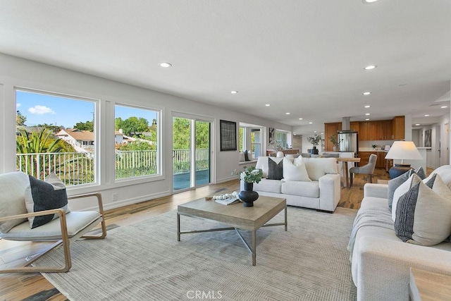 living room featuring light hardwood / wood-style flooring