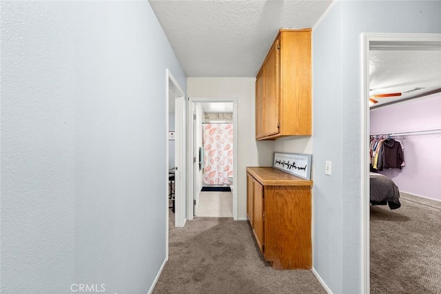 hall with light colored carpet and a textured ceiling