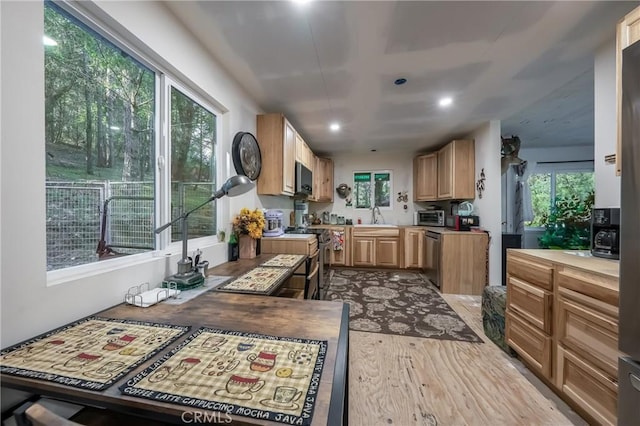 kitchen featuring sink, light wood-type flooring, and dishwasher