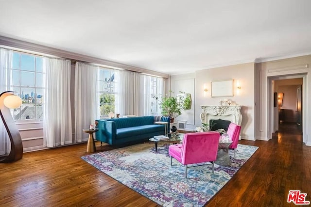 living room featuring dark hardwood / wood-style flooring