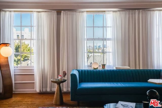 sitting room with hardwood / wood-style floors