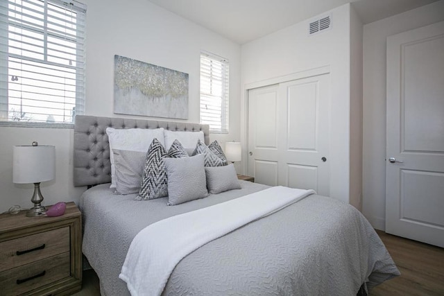 bedroom with multiple windows, dark wood-type flooring, and a closet