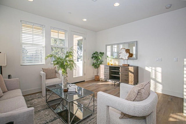 living room featuring hardwood / wood-style flooring