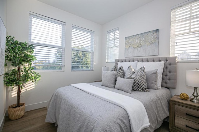 bedroom featuring multiple windows and wood-type flooring