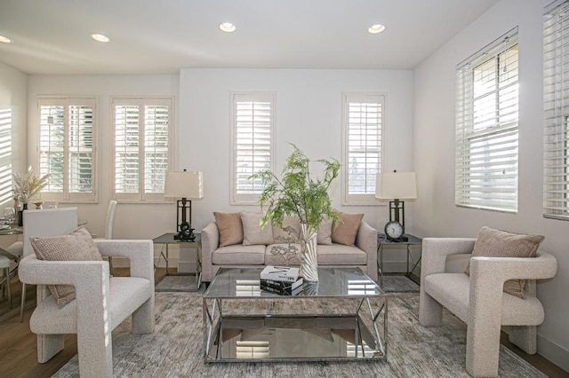 living room featuring hardwood / wood-style floors