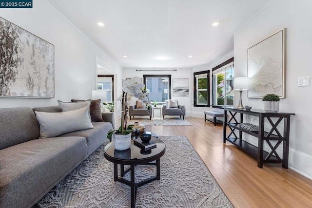 living room with hardwood / wood-style floors